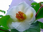 20080602bg029.jpg