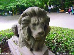 20080602bg033.jpg