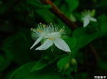 20080602bg037.jpg