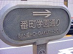 20080602bg070.jpg