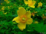 20080602bg079.jpg