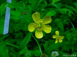 20080604hn029.jpg