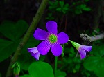 20080604hn037.jpg