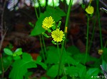 20080604hn038.jpg