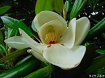 20080604hn045.jpg