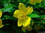 20080604hn072.jpg