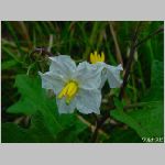 20080605tr019.jpg