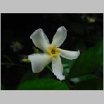 20080606gkd003.jpg
