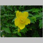 20080606gkd009.jpg