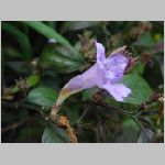 20080606gkd027.jpg