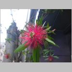 20080606gkd034.jpg