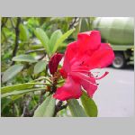 20080606gkd039.jpg