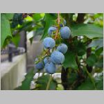 20080606gkd047.jpg
