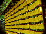 20080715ysk012.jpg