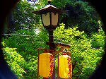 20080715ysk016.jpg