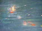 20080715ysk017.jpg