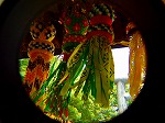 20080715ysk044.jpg