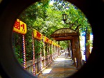 20080715ysk047.jpg