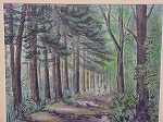 20080721kbk026.jpg