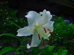 20080724ktn003.jpg