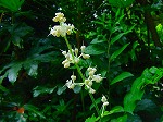 20080724ktn011.jpg