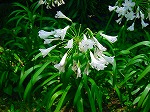20080724ktn014.jpg