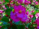 20080724ktn015.jpg