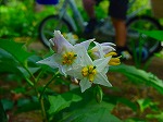 20080724ktn028.jpg