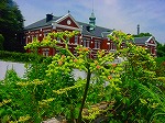 20080724ktn030.jpg