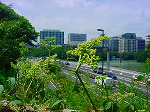 20080724ktn031.jpg
