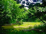 20080724ktn033.jpg