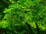 20080724ktn040.jpg
