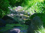 20080724ktn042.jpg