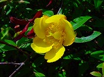 20080724ktn044.jpg