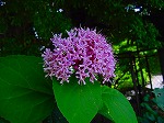20080724ktn050.jpg