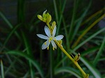 20080724ktn062.jpg