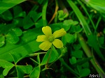 20080802hmg029.jpg