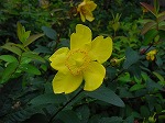 20080822snd010.jpg