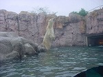 20080822snd025.jpg