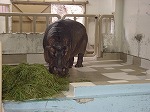 20080822snd059.jpg