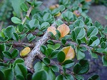 20080822snd080.jpg