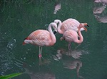 20080822snd087.jpg