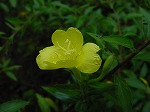 20080822snd089.jpg