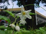 20080829km005.jpg