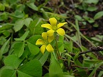 20080829km006.jpg