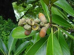 20080829km007.jpg