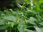 20080829km010.jpg