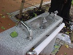 20080829km014.jpg
