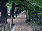 20080829km015.jpg