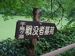 20080829km016.jpg
